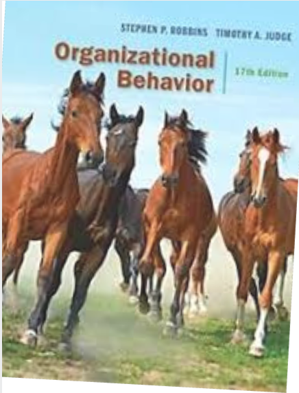 Read more about the article [Solution Manual] [Test bank] Organizational Behavior, 17th Edition Stephen P. Robbins,Timothy A. Judge 2017 Test bank + Solution Manual