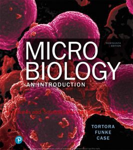 Read more about the article Microbiology: An Introduction, 13th Edition Gerard J. Tortora, Berdell R. Funke, Christine L. Case, Derek Weber, Warner Bair, ©2019 Test bank